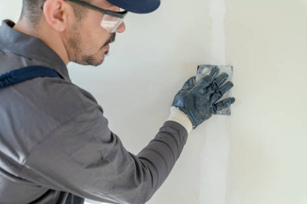 Best Drywall Sanding and Smoothing  in Tanglewilde, WA